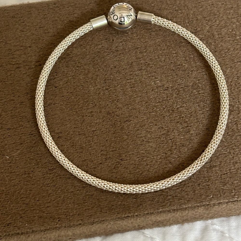 Pandora Silver Mesh Bracelet with Branded Clasp